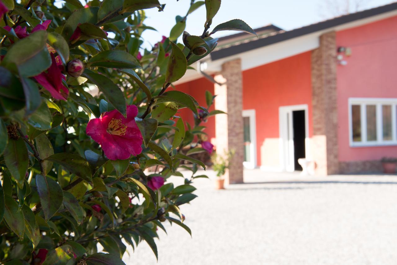 Tenuta La Vigna Malgesso エクステリア 写真